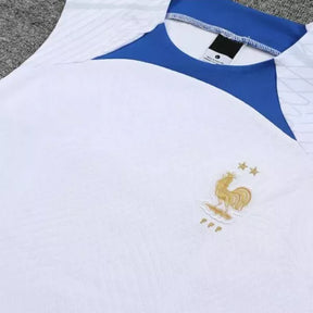 Conjunto de Treino Regata França