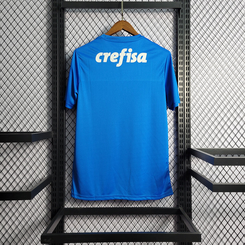 Palmeiras 22-23 Goleiro